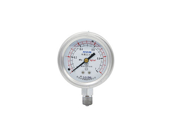 Seismic pressure gauge