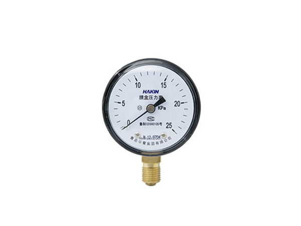 Capsule pressure gauge
